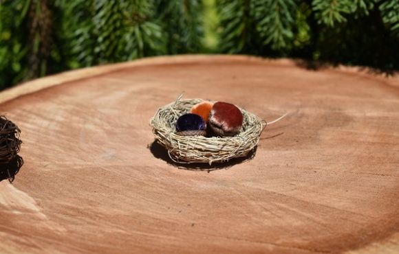 CutieKins Birds Nest