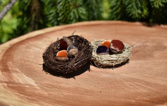 CutieKins Birds Nest