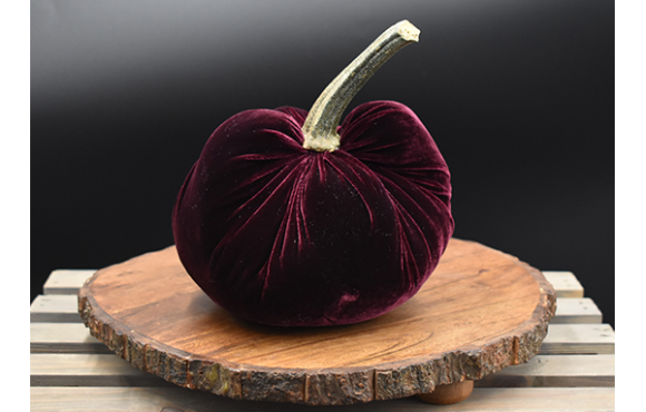 CutieKins Large Pumpkin