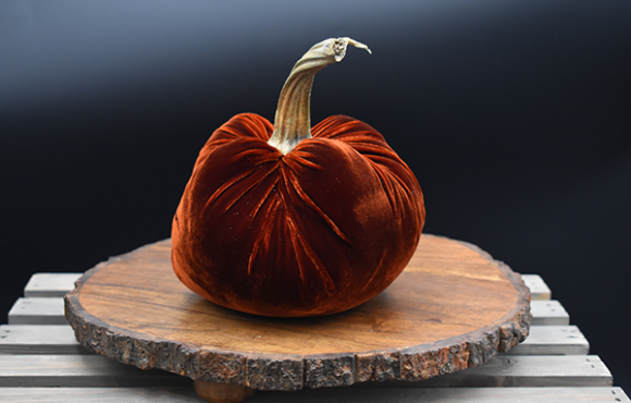 CutieKins Extra Large Pumpkins