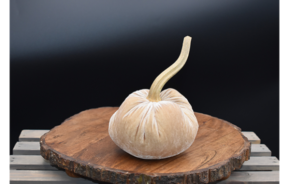 CutieKins Medium Pumpkins