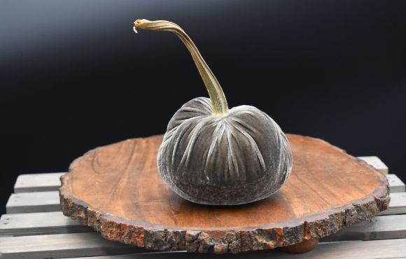 CutieKins Medium Pumpkins