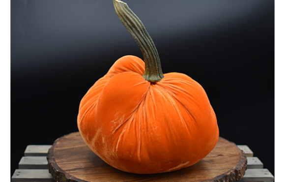 CutieKins Extra Large Pumpkins