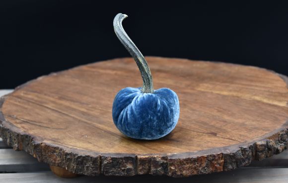 CutieKins Small Pumpkin