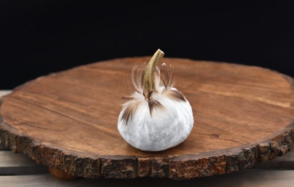 Feathered Small Pumpkin