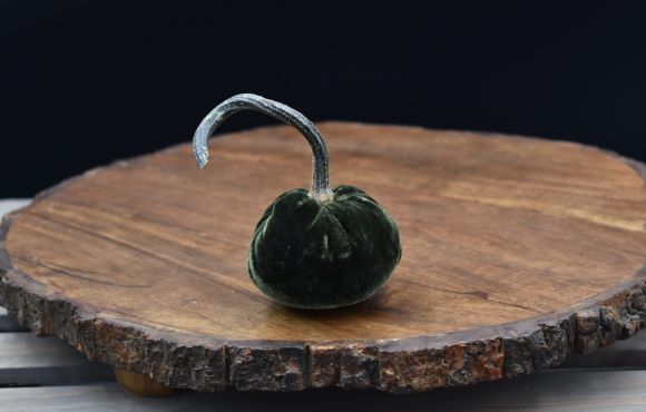 CutieKins Small Pumpkin