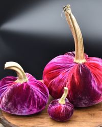 CutieKins Small Hand Dyed Fabric Pumpkins – Raspberry Splash